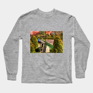 Peacock Time Long Sleeve T-Shirt